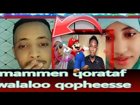 Dubbii Ajaa Ibaa Biqiltuufii Beji Mamee Biqiltuun Hiciiti Dubattee