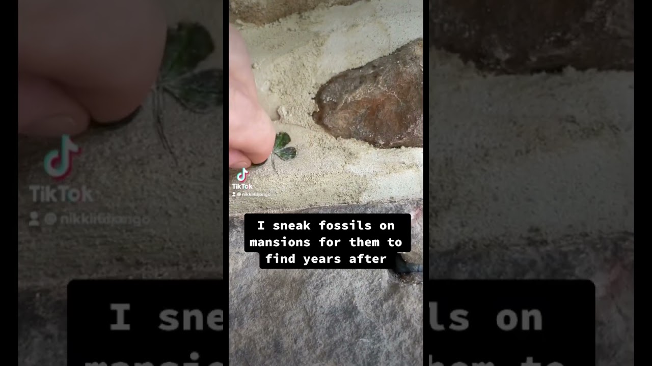 Can I make a 4 leaf clover fossil?