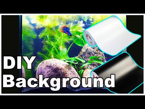 DIY Vinyl Aquarium Background: An Easy Way to Make Your Tank