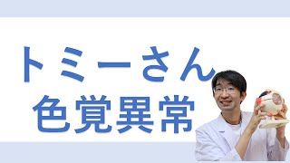 水溜まりボンドトミーさん色覚異常について眼科医が解説