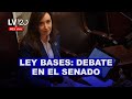 Ley bases el debate en el senado