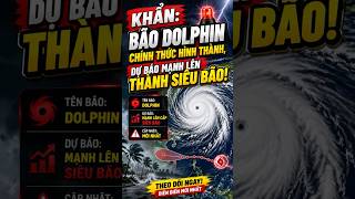 Khẩn: Bão Dolphin Chính Thức Hình Thành | Dự Báo Mạnh Lên Thành Siêu Bão! #thoitiet