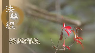 【靜思妙蓮華】法華經安樂行品 - 四種不近 隨宜說法 - 20230412 第1391集