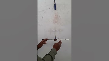 Time Period of Maxwell needle experiment depends on?