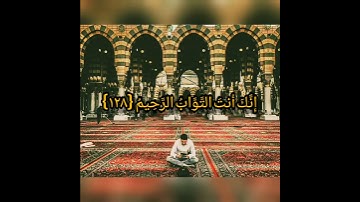 تلاوة هادئة من سورة البقرة - القارئ هيثم الدخين - ( حالات واتس )