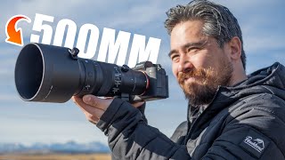 Sigma 500mm f\/5.6 DG DN Sport Review: This Might Be The PERFECT Telephoto!