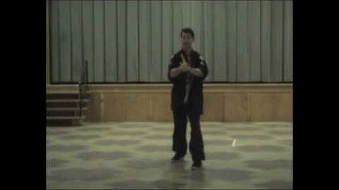 Step-up, Deflect, Intercept, Punch