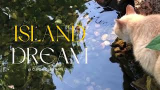 CbolChannel - Island Dream🪴