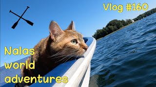 Nala cat explores Trakai Island Castle by boat