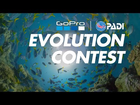 GoPro: PADI Dive Competition Announce