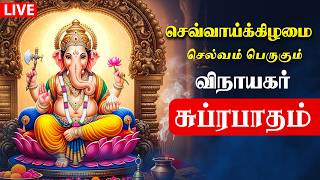 🔴LIVE SONGS | ஞாயிற்றுக்கிழமை தடைகள் நீங்கி வெற்றி பெற விநாயகர் சுப்ரபாதம் | Vinayagar Suprabatham