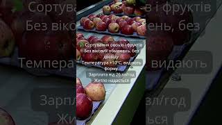 Став лайк і підпишись !