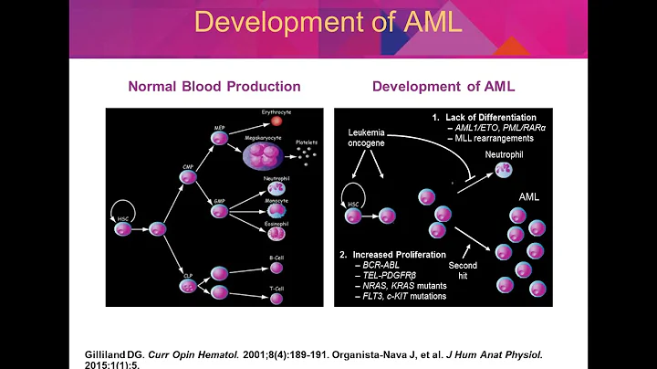 Acute Myeloid Leukemia: Evaluating Novel Formulations and Emerging Agents