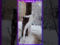 Снеговик-монстр появился в Краснодаре