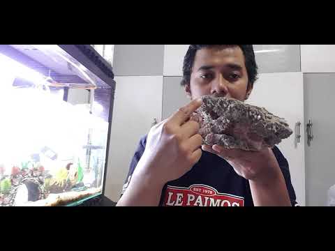 Video: Garam Meja Dari Batu Halit