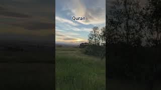 surah nisa with urdu translation #ayat #quran #dua #islamic #islam