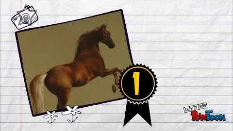 Doris Lessing analysis