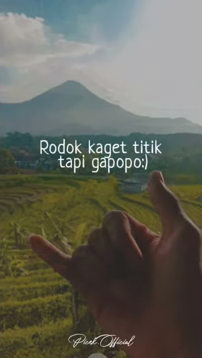 Kata-Kata mbeldos buat stori wa cocok buat para flyer😁