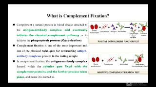 Complement Fixation test