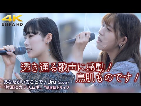 【 感動の歌声 】透き通る歌声に感動！鳥肌ものです！　あなたがいることで / Uru（cover）" 片耳にカラスムギ。" 新宿路上ライブ  4K映像