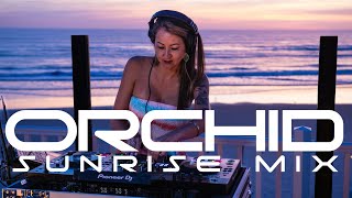 DJ ORCHID | Sunrise Mix | Daytona | House Music 2023