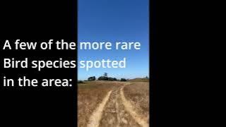 Tolowa Dunes Trail