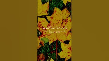 تلاوة جميلة جداً للقارئ الشيخ ياسر الدوسري #اكسبلور #abdulbasit #yasseraldossari #quran #duet