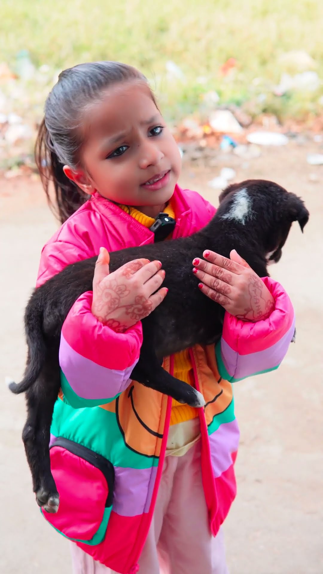 Kya maha ne sahi Kiya puppy ko ghar lakar ?