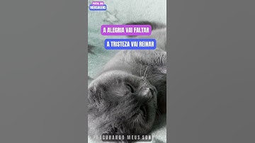 PROCURANDO MEUS SONHOS - MENSAGENS #mensagensmotivacionais #mensagem #motivacional