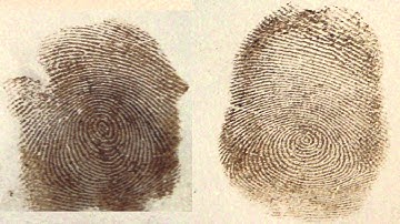 Iodine Method for Detection of Latent Fingerprints (FSC)