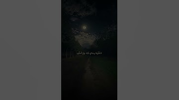 ادْخُلوها بسلام..                    آيات من سـورة ق، محمد هشام.  🤍 #اكسبلور #قرآن #تلاوة_خاشعة #أجر