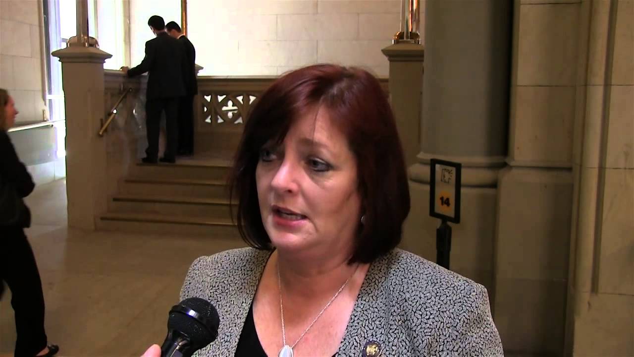 Assemblywoman Annie Rabbitt Comments on End of 2013 Legislative Session ...