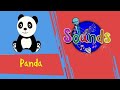 Sounds - Panda