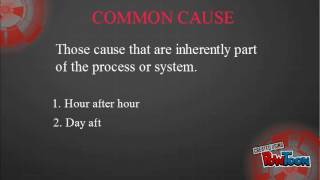 Cause Variation: Common VS Special