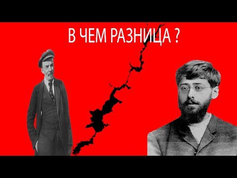 В чем разница между Большевиками и Меньшевиками  ?