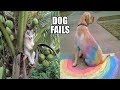 Funniest dog fails ever