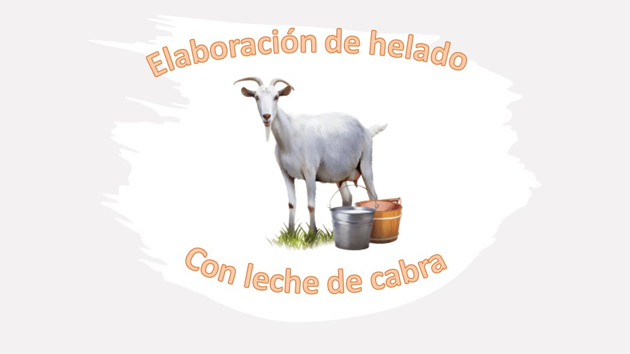 Elaboración de helado de leche de cabra #MedicinaVeterinariaYZootecnia #Helado #Caprinos