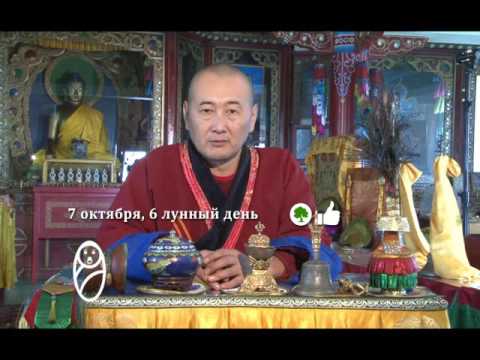 Зурхай 7 октября