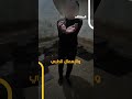 أرشيف سري يكشف جرائم الأسد داخل شبكة الموت وفاة 10 آلاف معتقل
