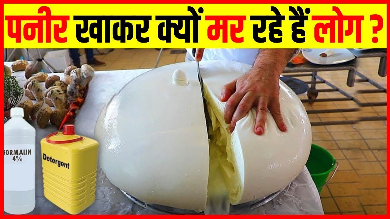 नकली पनीर बनाने वाले देखिये कैसे धड़ल्ले से पैसा कमाते हैं Nakli