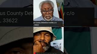 Festivals Role in Freeing Political Prisoners