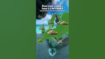 🦤 #europe #globalmapper #shorts #geography #mapper #geographymap #mapology #map #mapping #mapchart
