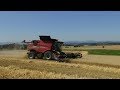 Big case ih 9230  macdon  flexdraper harvest wheat sklize  penice