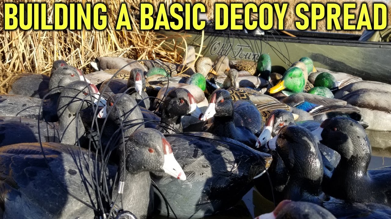 Building a Duck Decoy Spread for Beginners