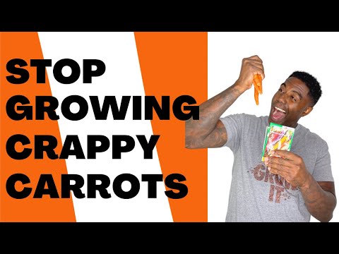 Video: Co jsou Imperator Carrots: Přečtěte si o Imperator Carrot Care