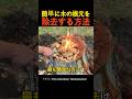 簡単に木の根元を除去する方法