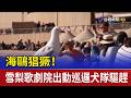 海鷗猖獗！ 雪梨歌劇院出動巡邏犬隊驅趕