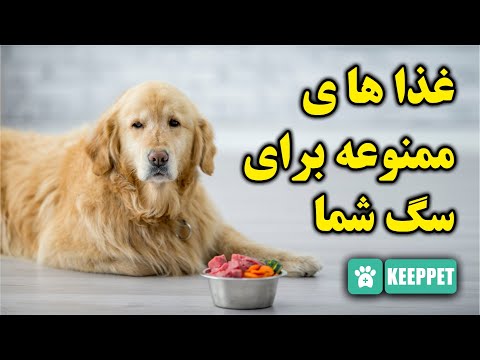 تصویری: کدام غذاها حاوی تئوبرومین هستند؟