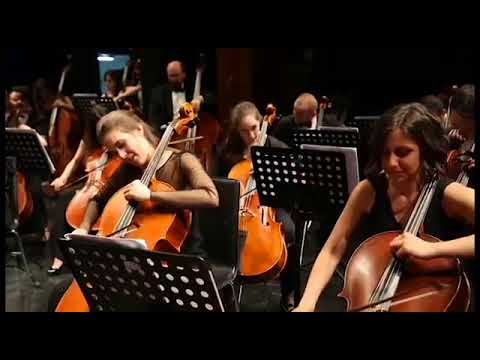 Martin Garrix Animals Symphonic Edition Istanbul Uni State Conservatory