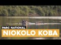 Senegal  visite du parc naturel niokolo koba